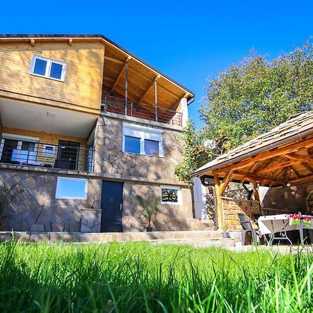 Vila Nemir Zavojsko Jezero Пирот Экстерьер фото